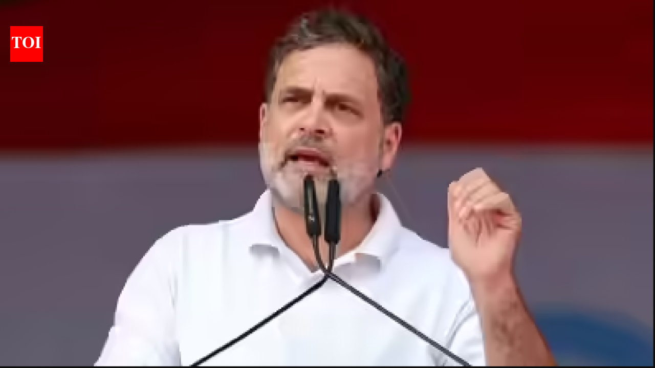 DMK attacks Rahul Gandhi for ‘dishonesty,’ ‘immaturity’ that harmed INDIA bloc