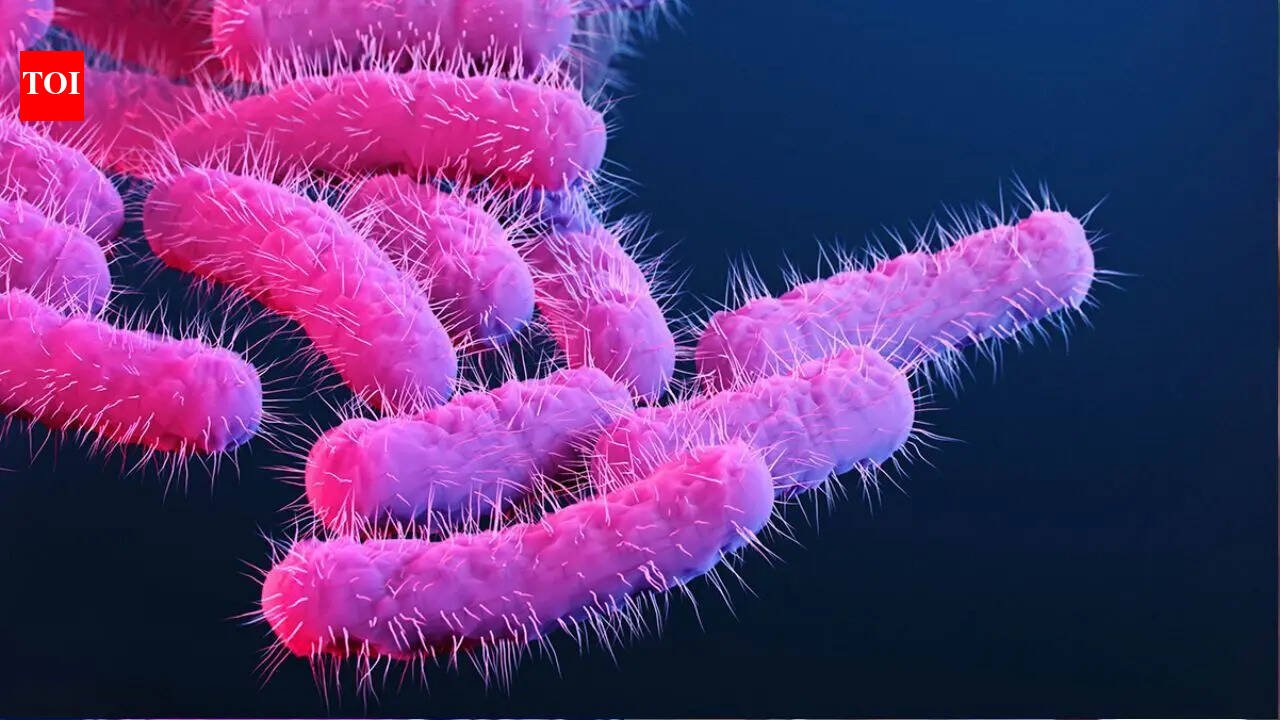 Shigella toll rises in Kerala: Seven-year-old fourth victim this year