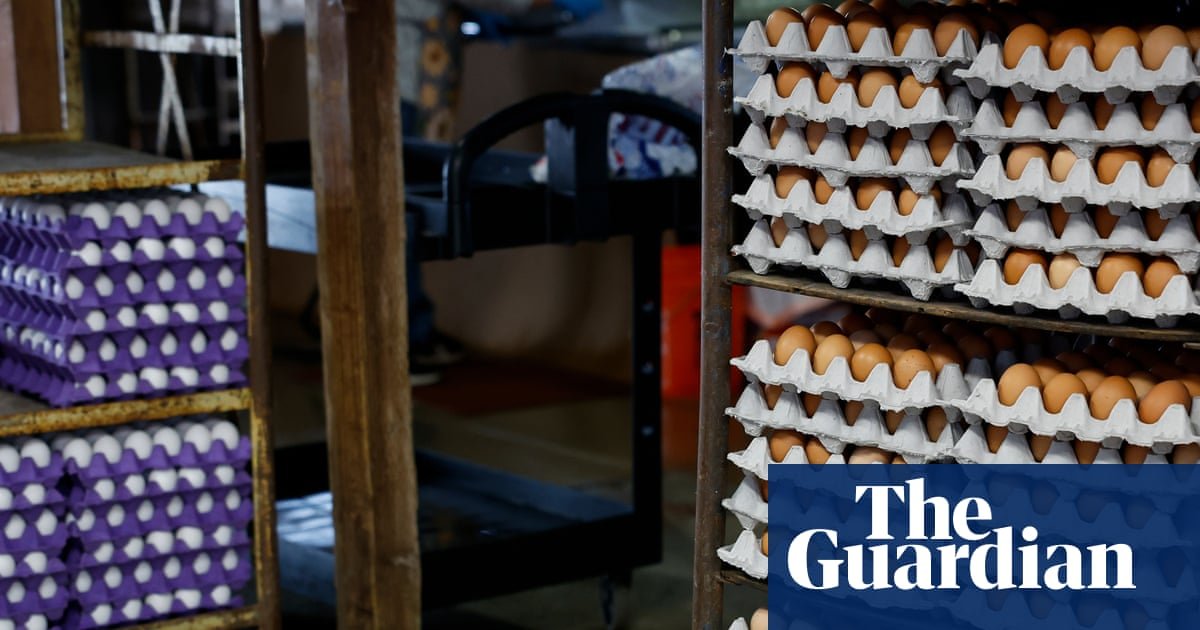 Massive egg recall in US south and south-west due to salmonella outbreak
